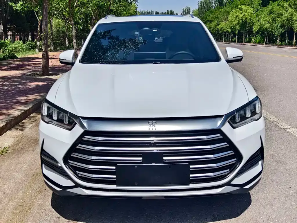 BYD Pro New Energy — фото 1