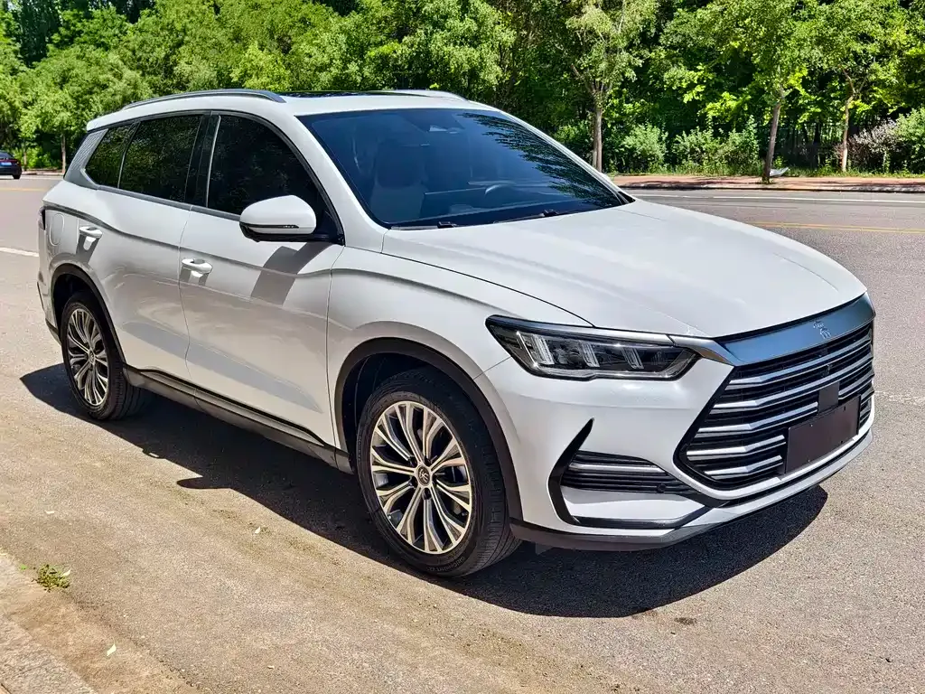 BYD Pro New Energy — фото 7
