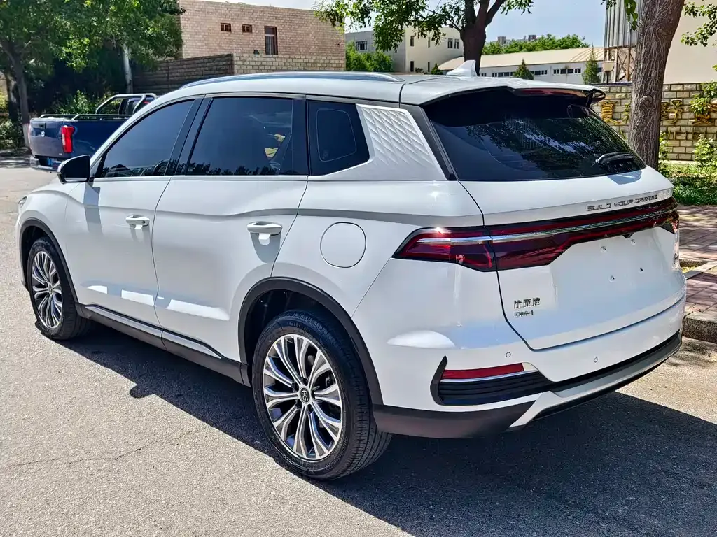 BYD Pro New Energy — фото 10