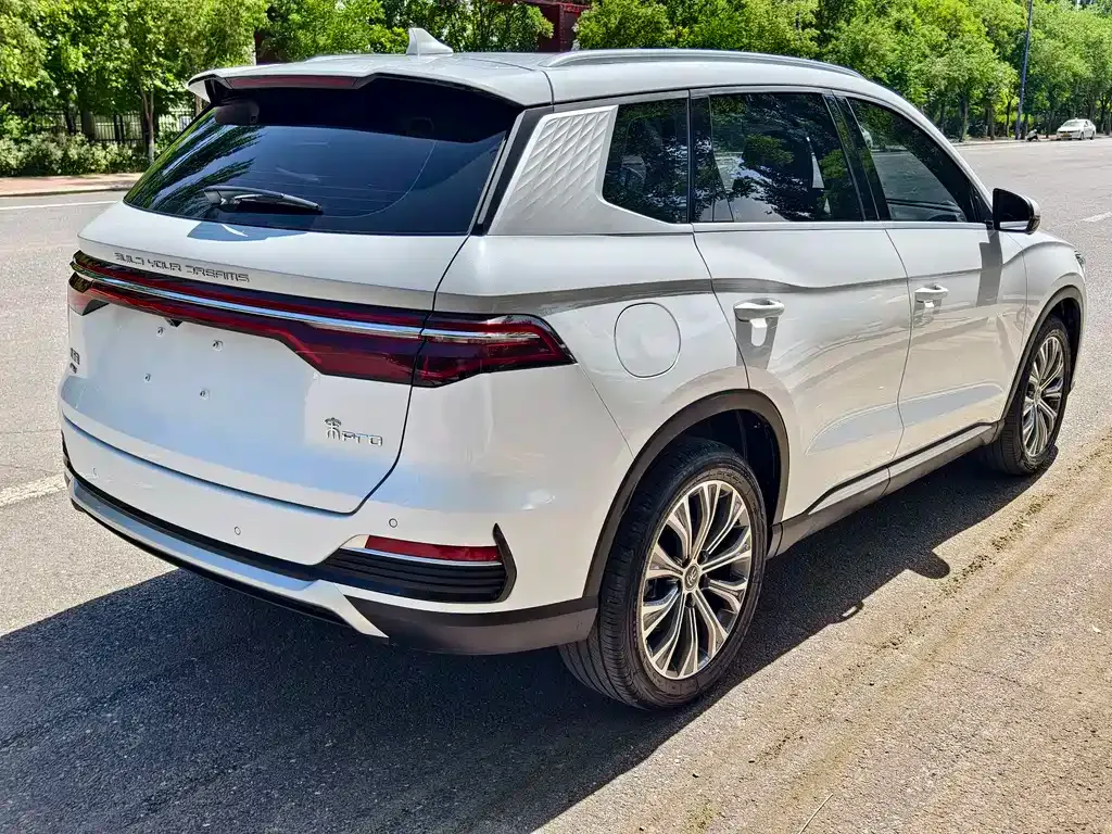 BYD Pro New Energy — фото 6