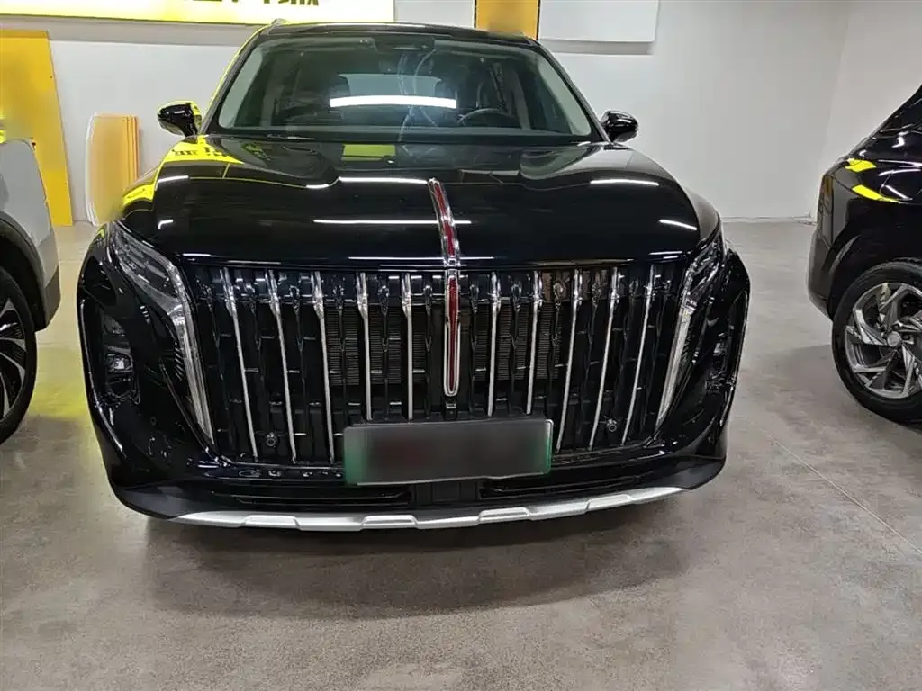 Hongqi HS7 PHEV 2024 из CN, фото 10