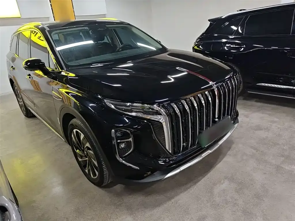 Hongqi HS7 PHEV 2024 из CN, фото 7