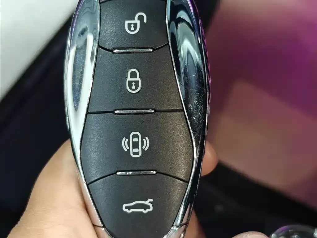 Hongqi HS7 PHEV 2024 из CN, фото 5