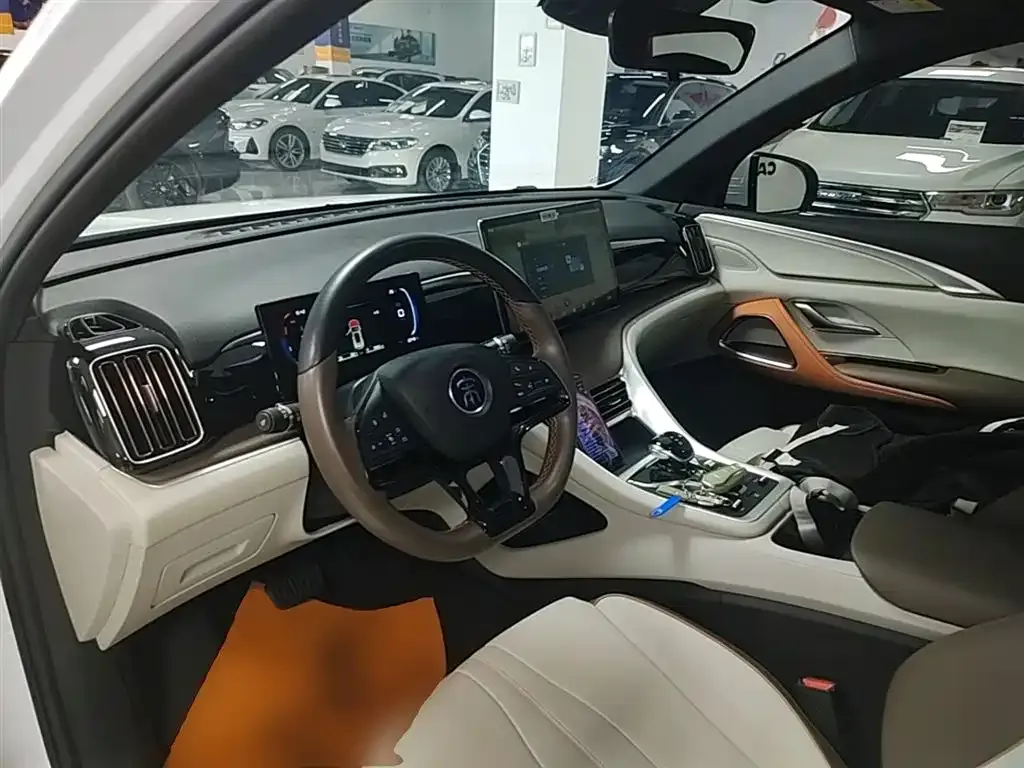 BYD Pro New Energy 2023 из CN, фото 10