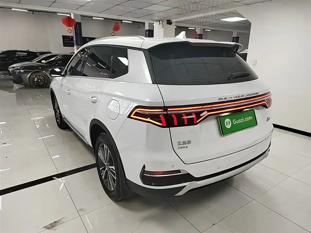 BYD Pro New Energy 2023 из CN, фото 2