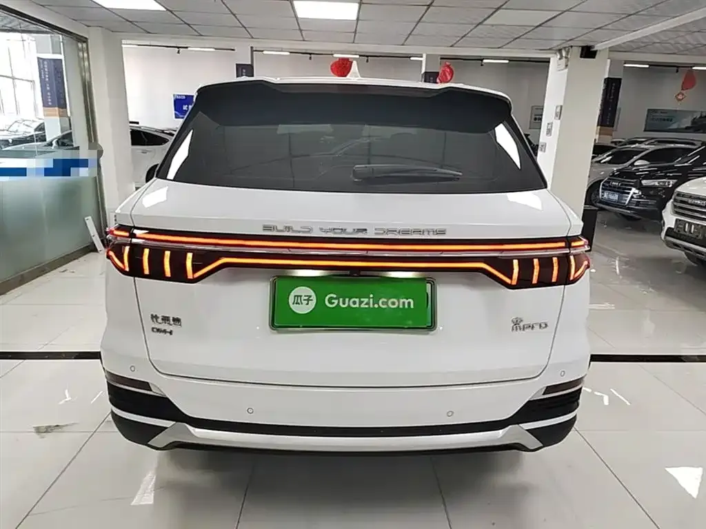 BYD Pro New Energy 2023 из CN, фото 8