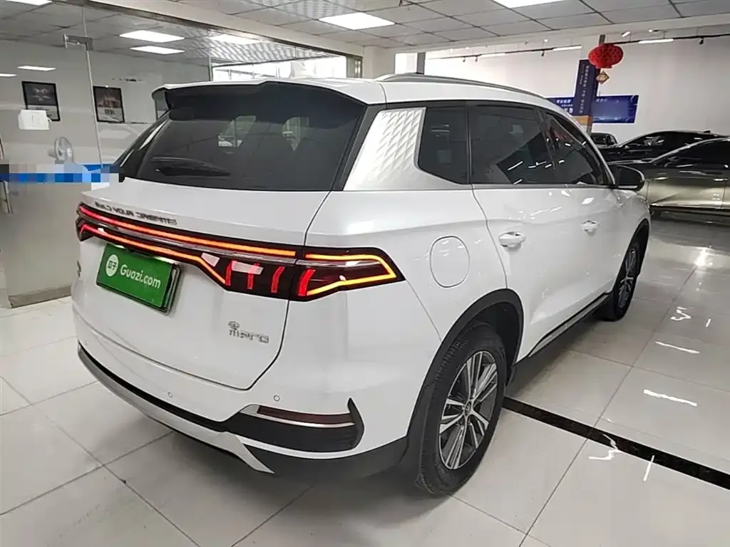 BYD Pro New Energy 2023 из CN, фото 9