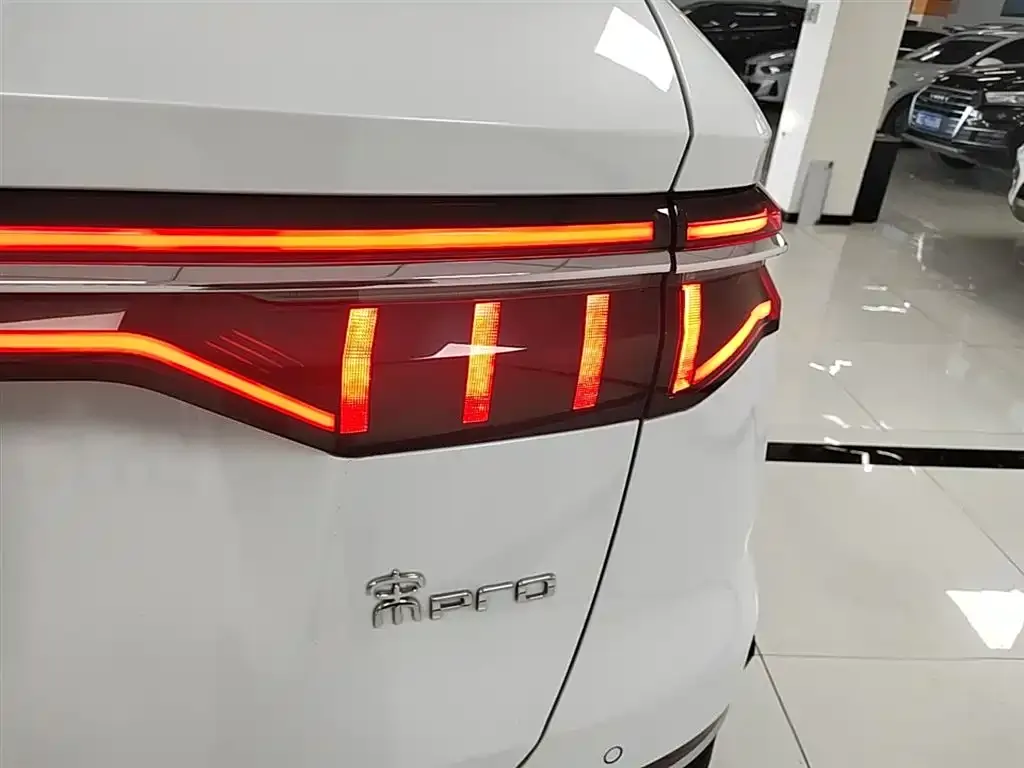 BYD Pro New Energy 2023 из CN, фото 7