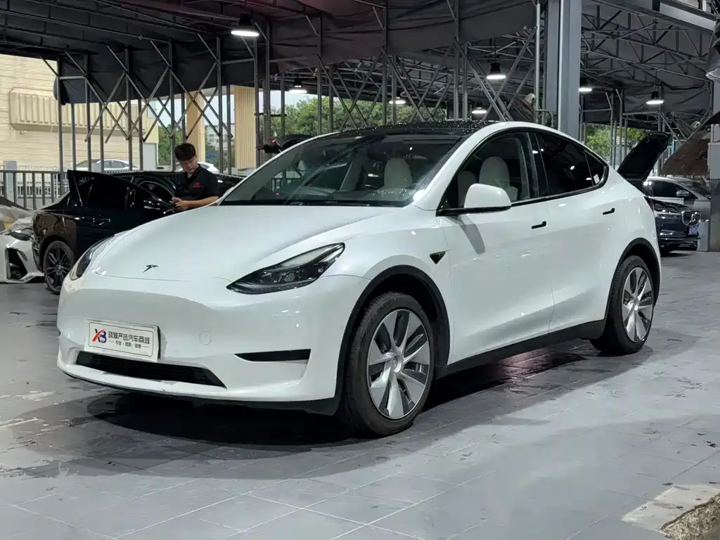 Tesla Model Y — фото 1