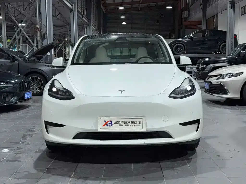 Tesla Model Y — фото 4