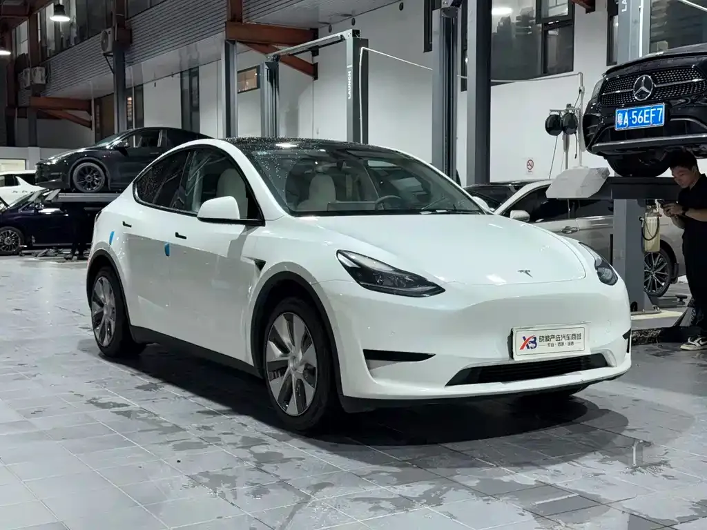 Tesla Model Y — фото 8