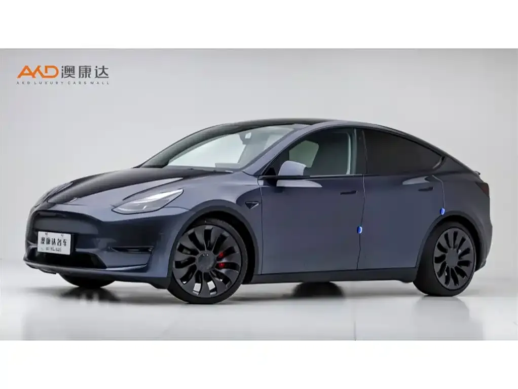 Tesla Model Y — фото 1