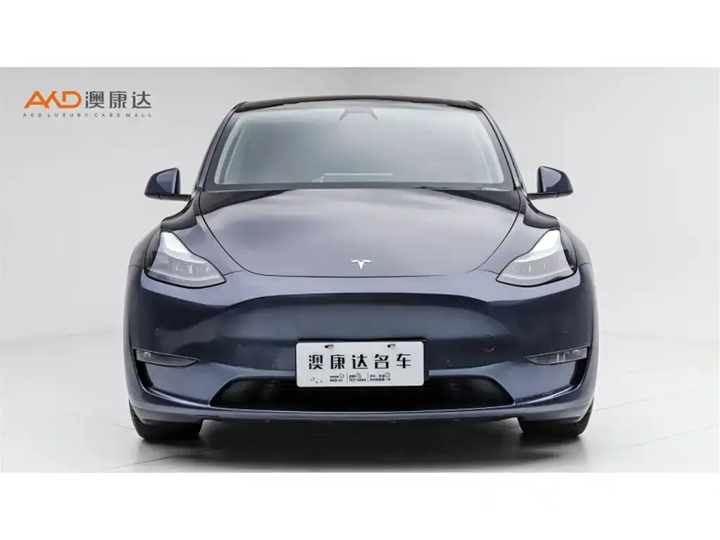 Tesla Model Y — фото 5