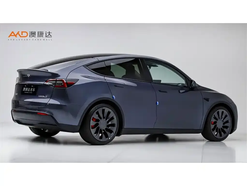 Tesla Model Y — фото 9