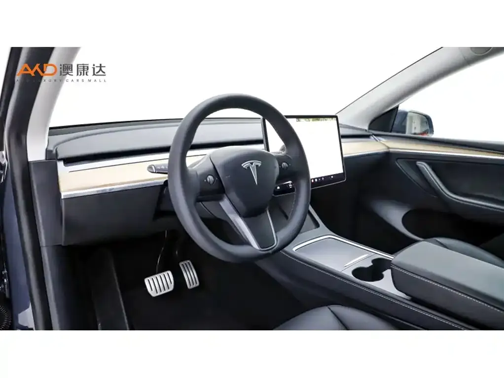 Tesla Model Y — фото 10