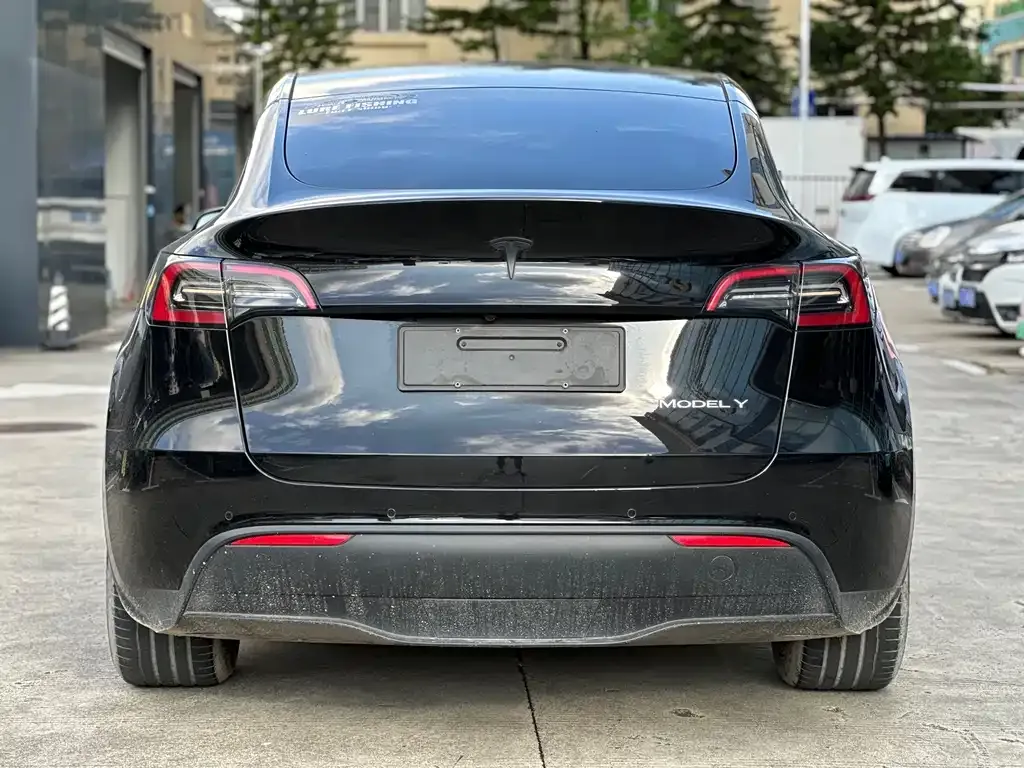 Tesla Model Y — фото 6