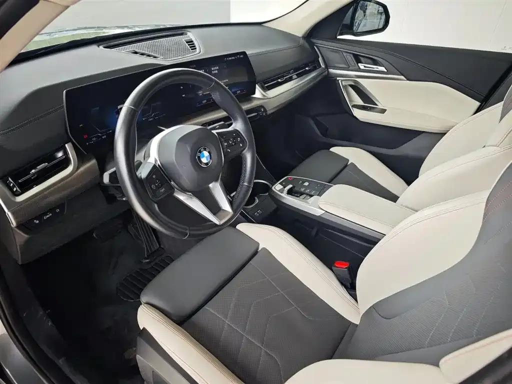 BMW X2 (Import) 2024 из CN, фото 10