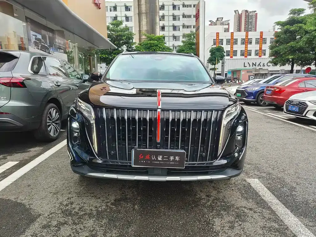 Hongqi HS7 2025 из CN, фото 6