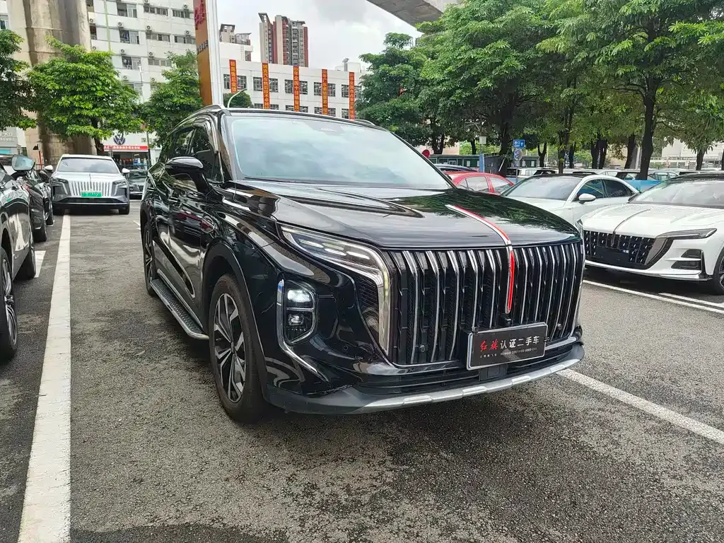Hongqi HS7 2025 из CN, фото 5