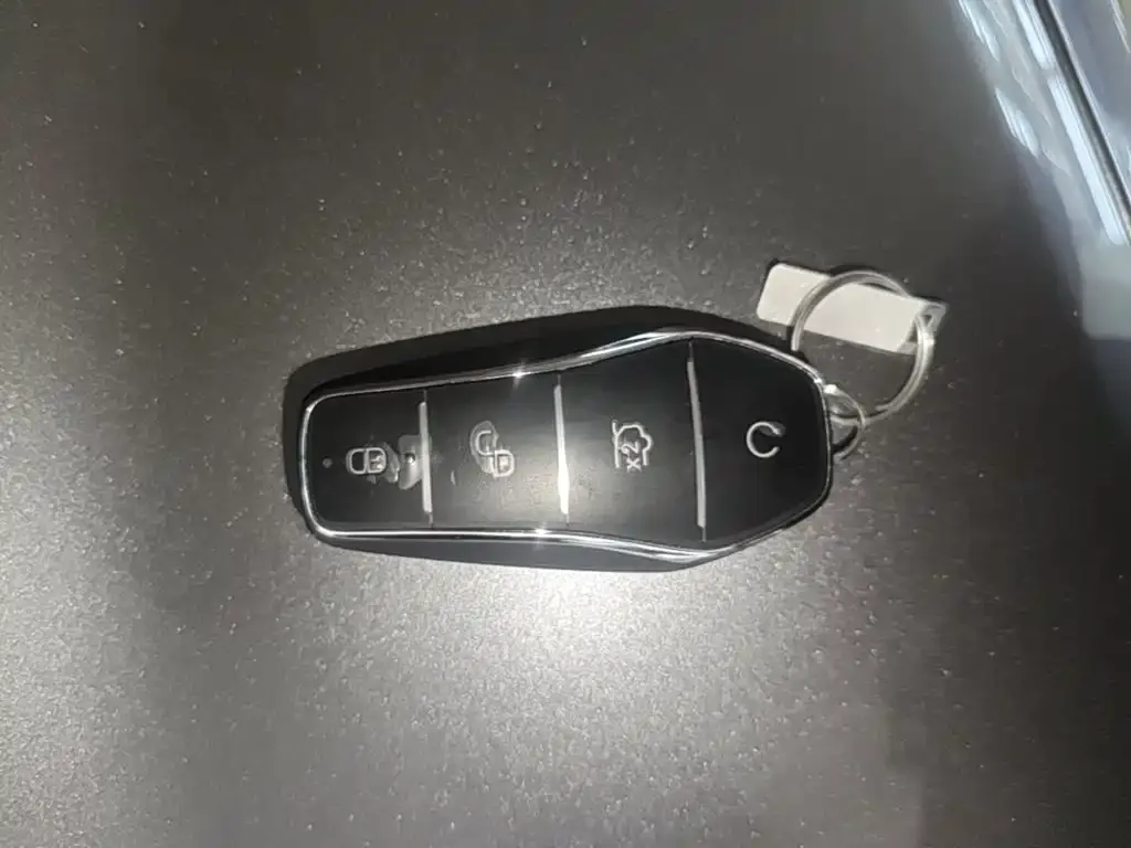 BYD L DM-i — фото 2