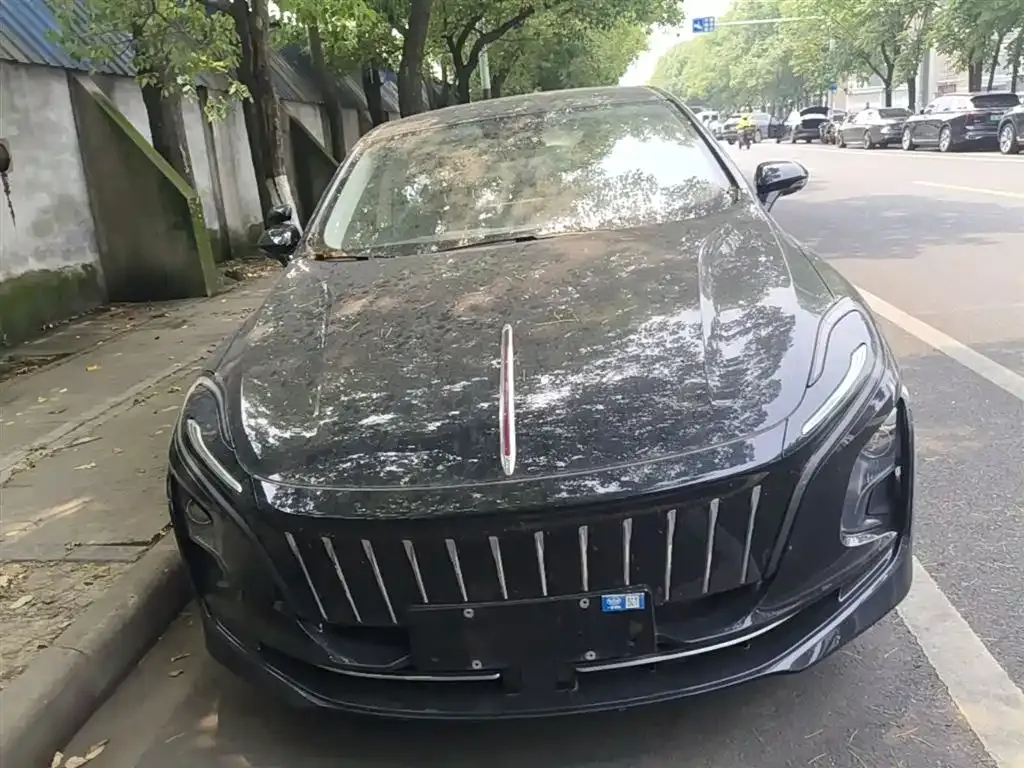 Hongqi E-QM5 — фото 10
