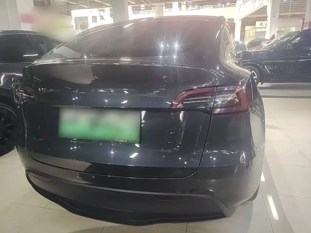 Tesla Model Y — фото 2