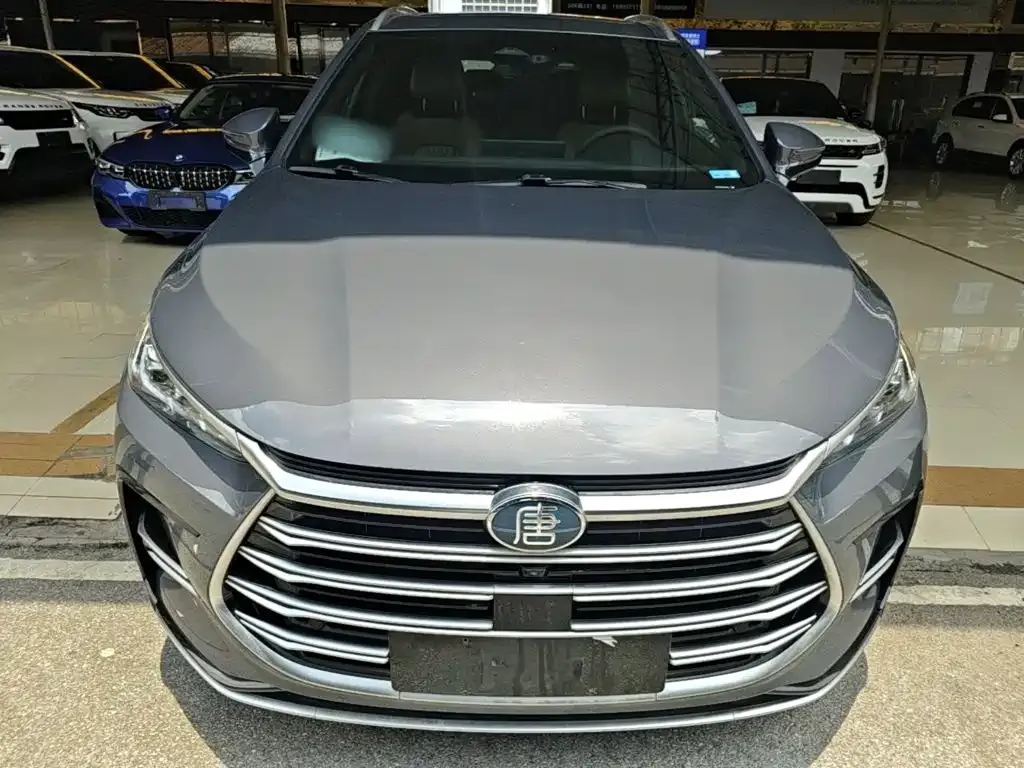 BYD Tang New Energy 2023 из CN, фото 2