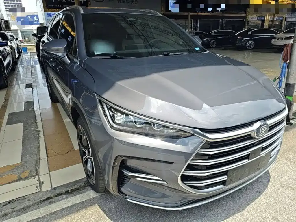 BYD Tang New Energy 2023 из CN, фото 10
