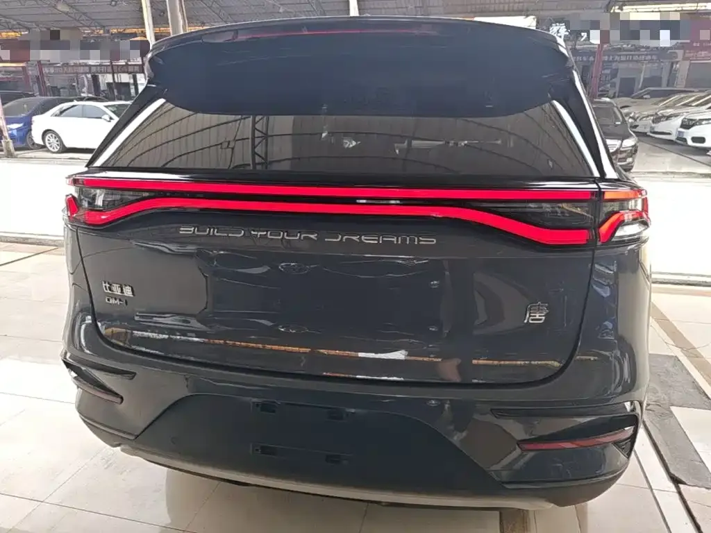 BYD Tang New Energy 2023 из CN, фото 5