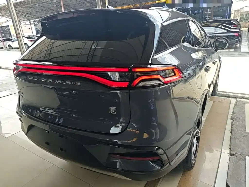 BYD Tang New Energy 2023 из CN, фото 6