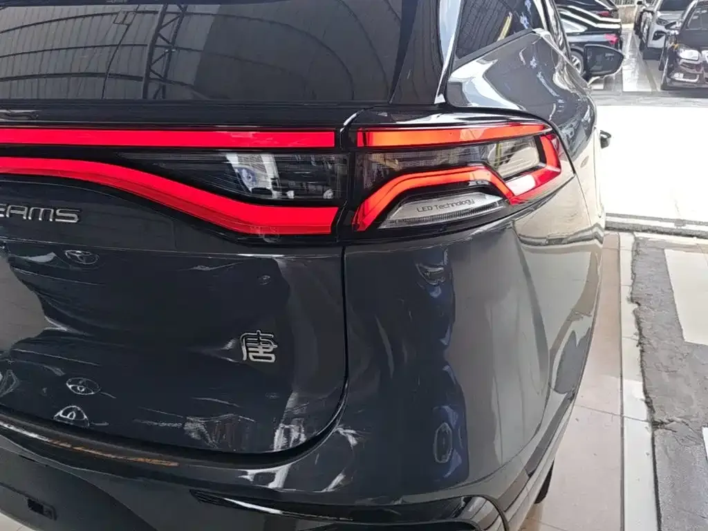 BYD Tang New Energy 2023 из CN, фото 3