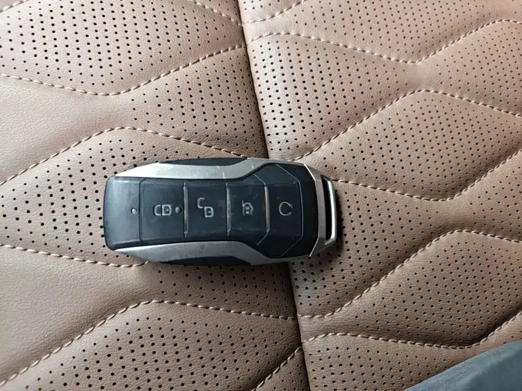 BYD Tang New Energy 2023 из CN, фото 9