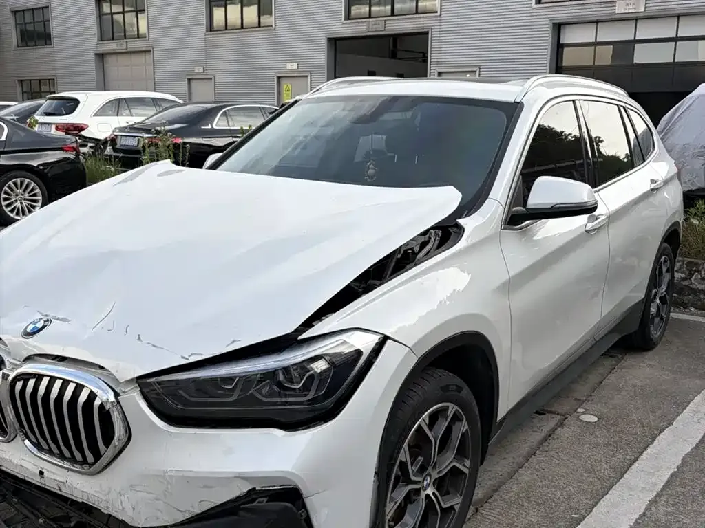 BMW X1 — фото 1