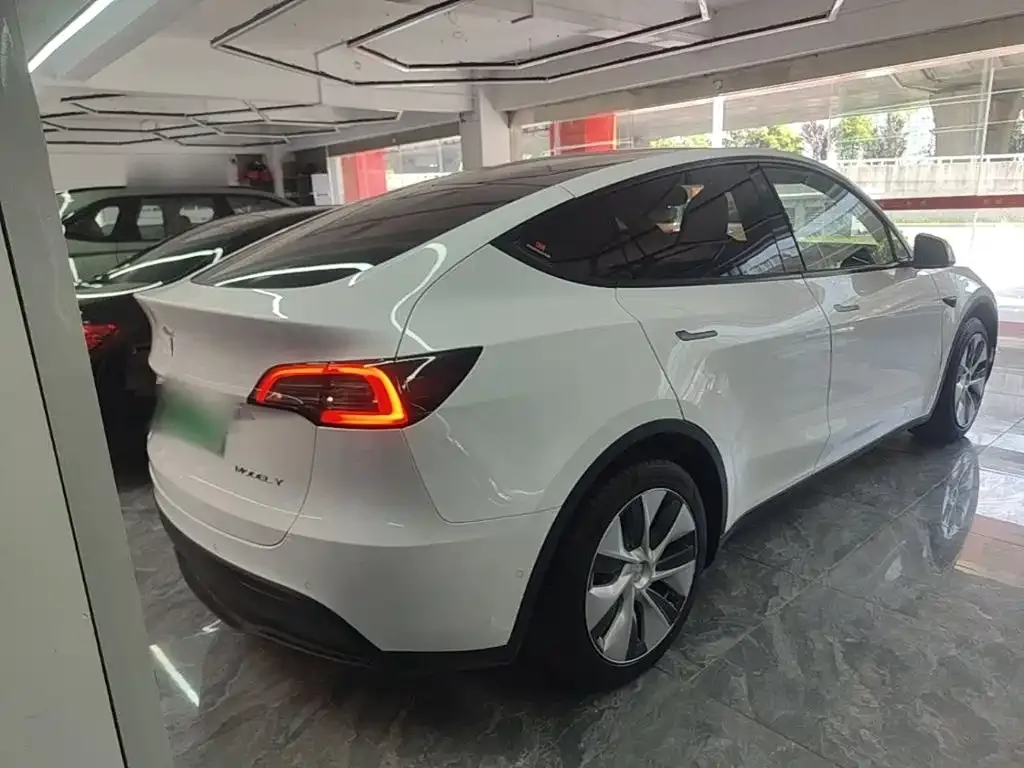 Tesla Model Y — фото 10