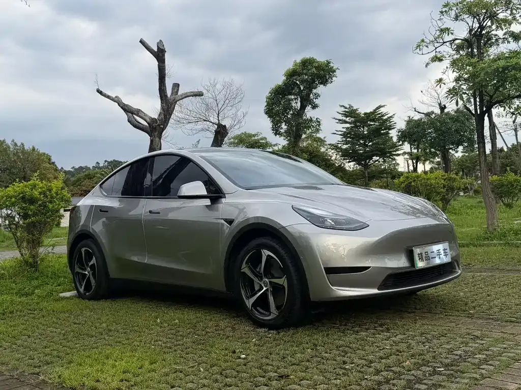 Tesla Model Y — фото 9