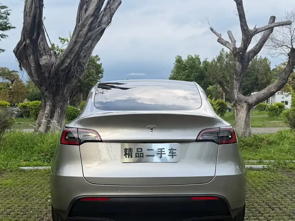 Tesla Model Y — фото 8