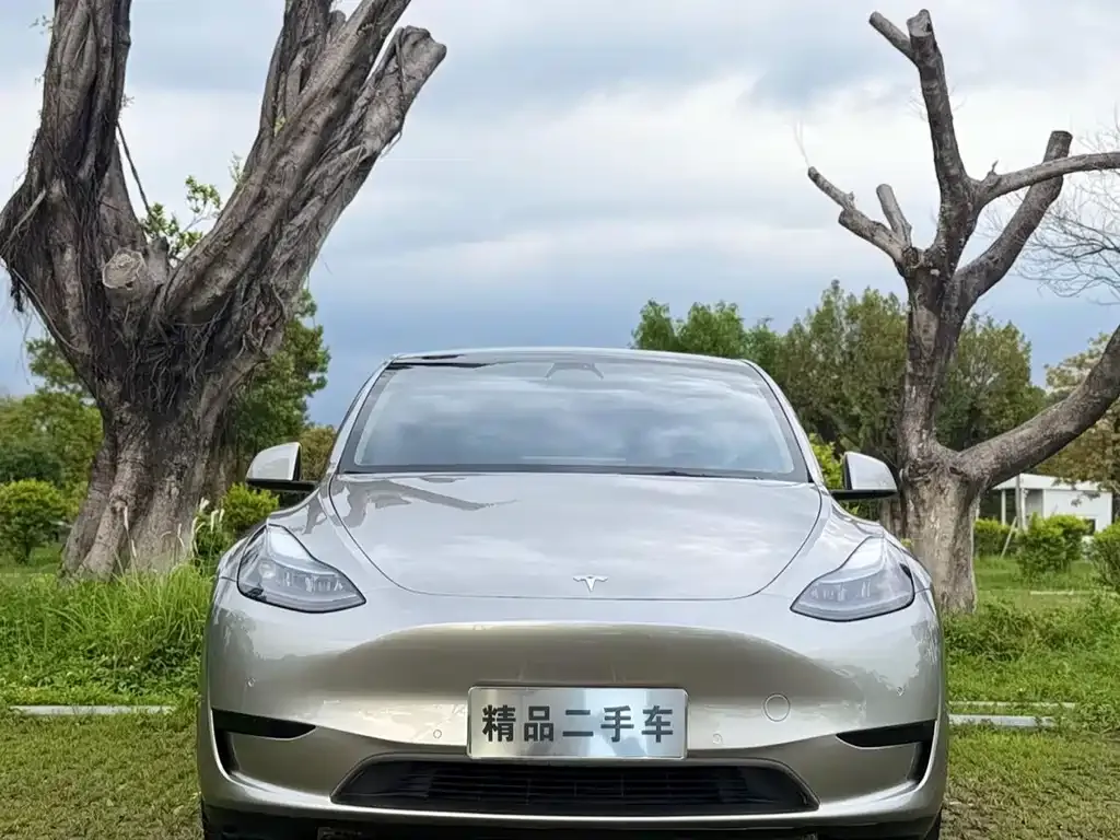 Tesla Model Y — фото 6