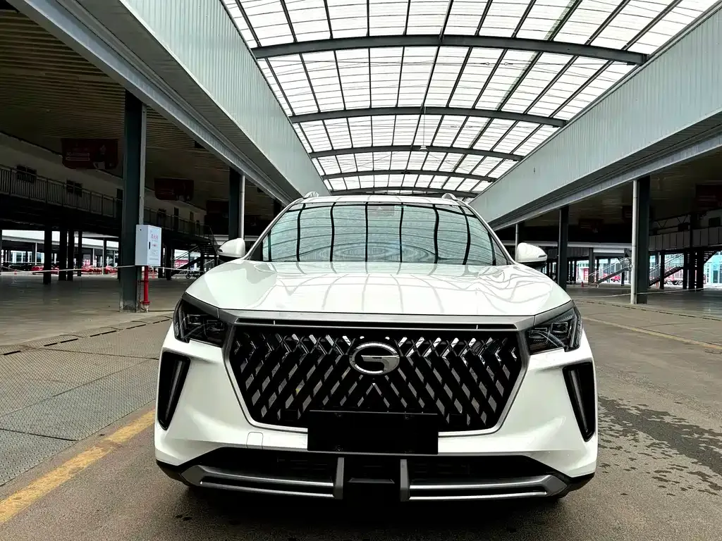 GAC Motor GS4 Plus 2023 из CN, фото 10