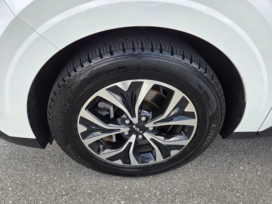 Kia Carnival — фото 10