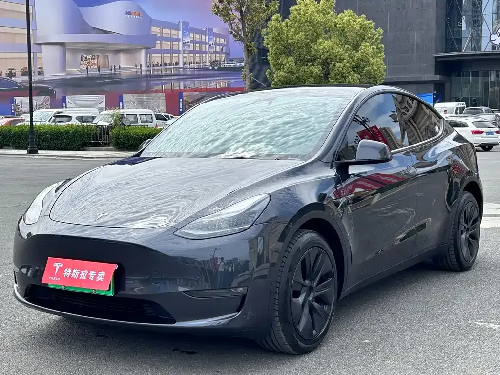 Tesla Model Y — фото 1