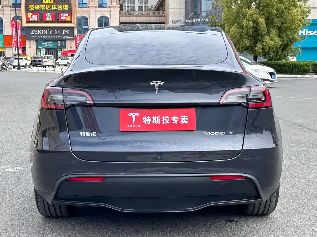 Tesla Model Y — фото 5