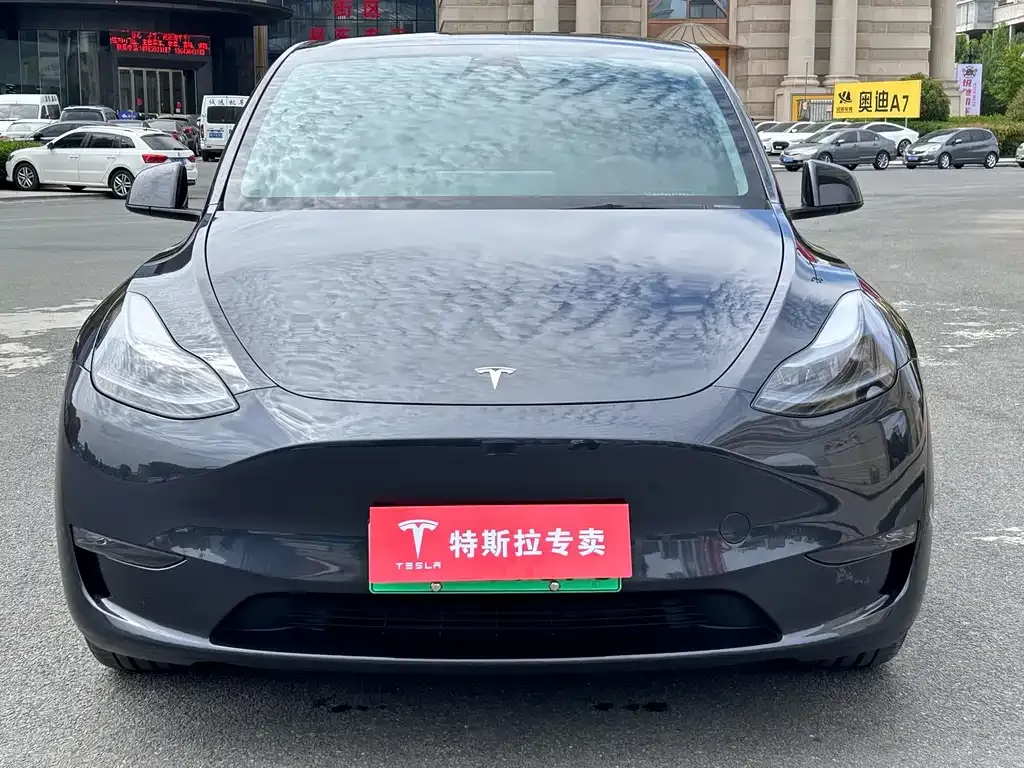Tesla Model Y — фото 10