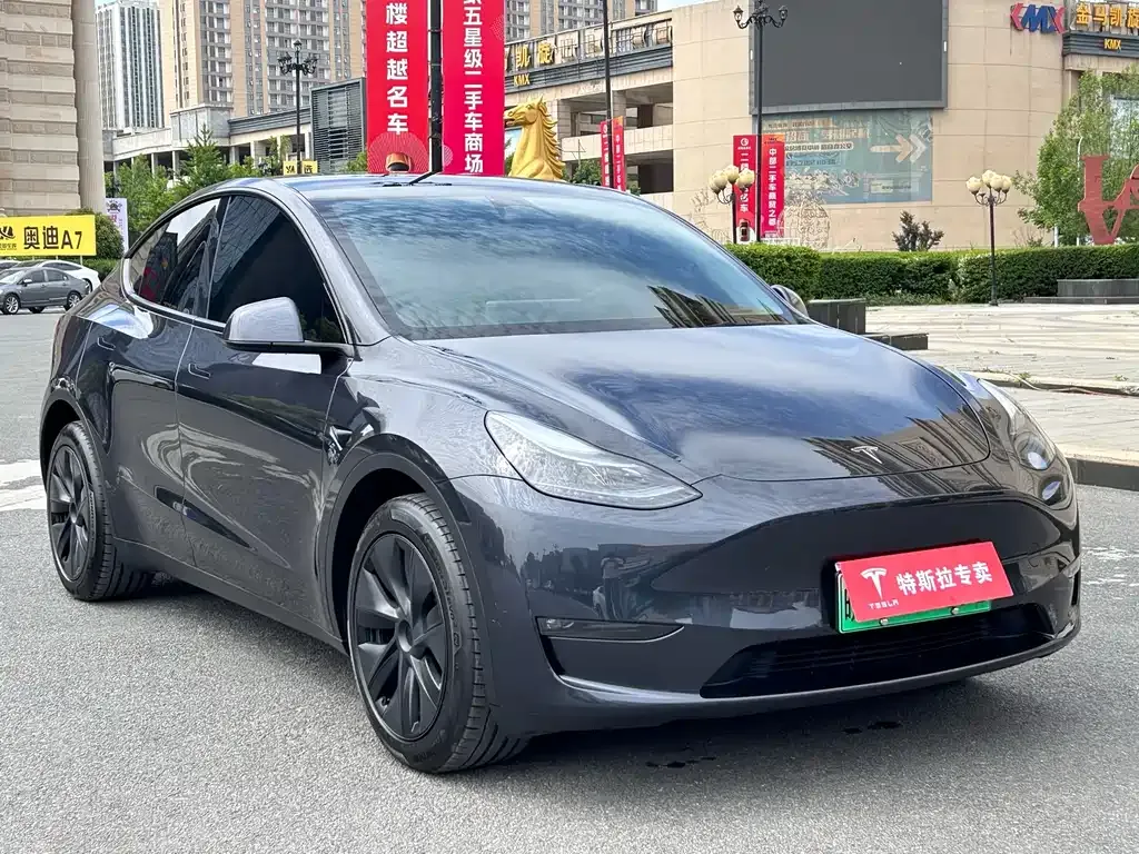 Tesla Model Y — фото 9