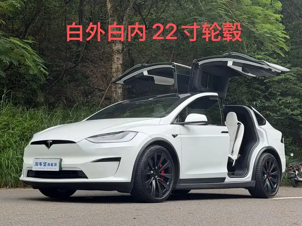 Tesla Model X — фото 1
