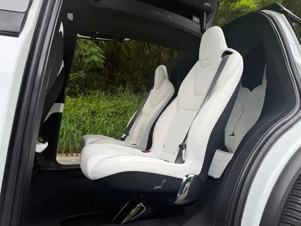 Tesla Model X — фото 3
