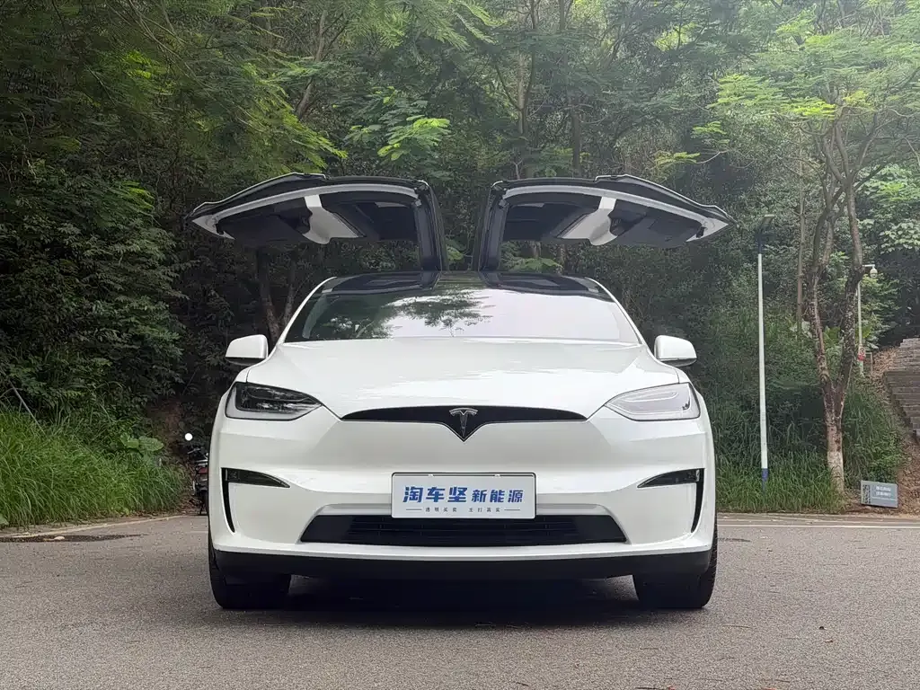 Tesla Model X — фото 9