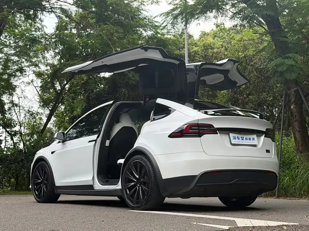 Tesla Model X — фото 7