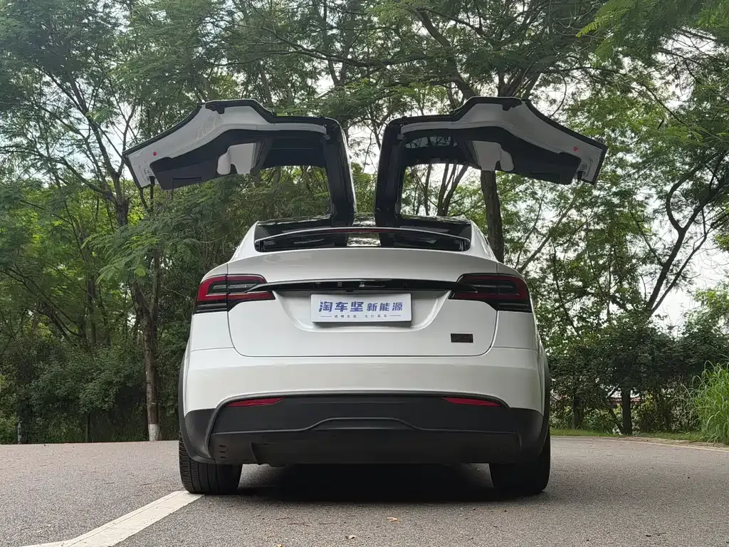 Tesla Model X — фото 10