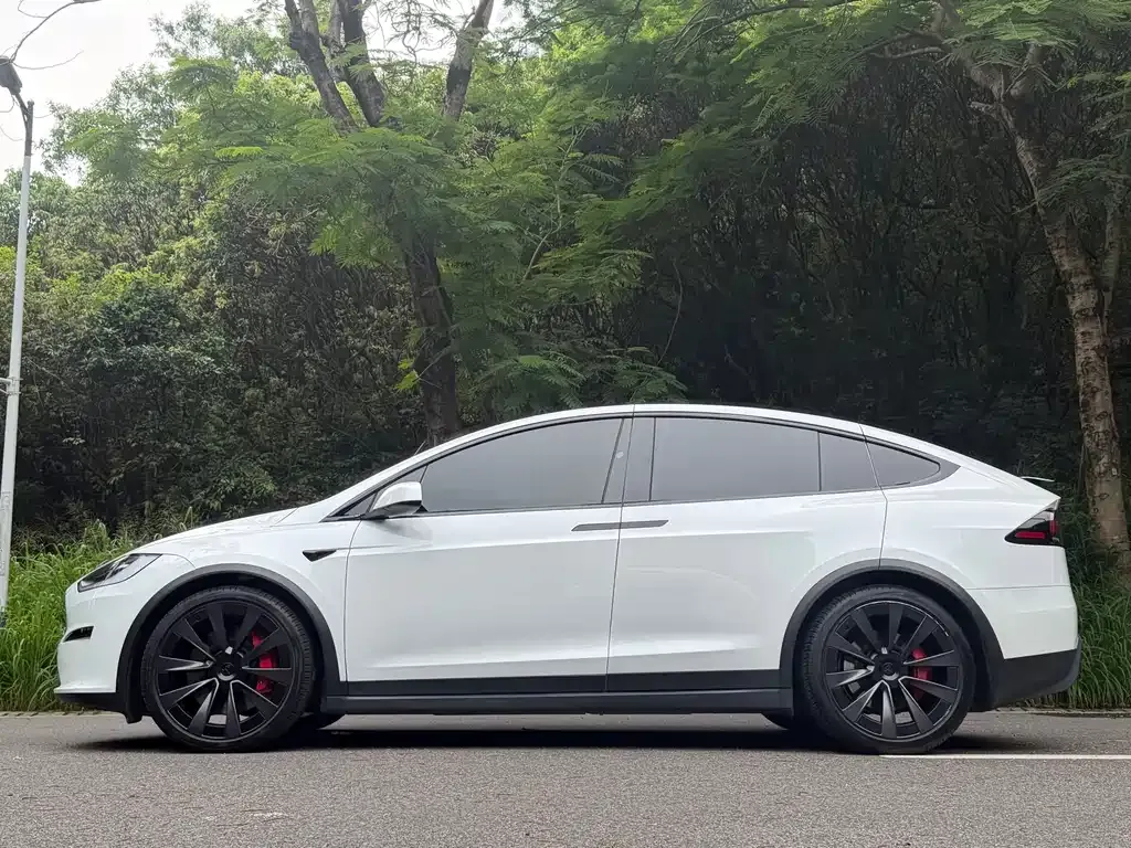 Tesla Model X — фото 8