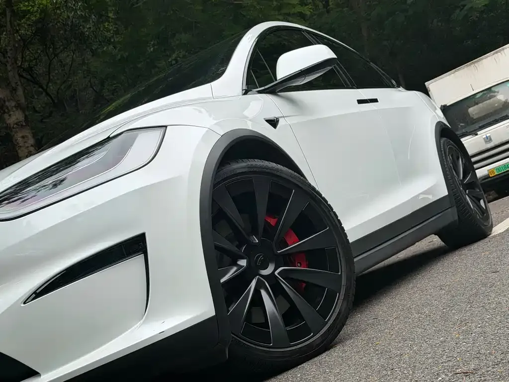 Tesla Model X — фото 6